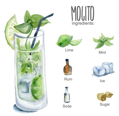 Mojito malzemelerle. Vektör suluboya resim.