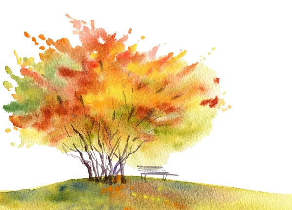 Árbol de otoño con banco. Ilustración en acuarela . —  Fotos de Stock