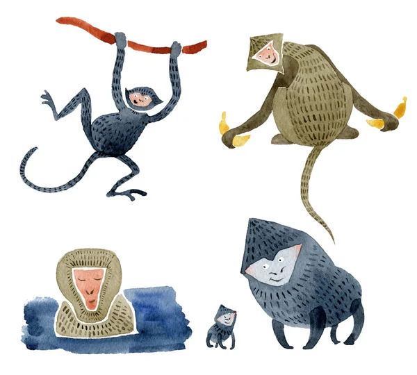 Stylizowane małpy. Akwarela ilustracja. — Zdjęcie stockowe