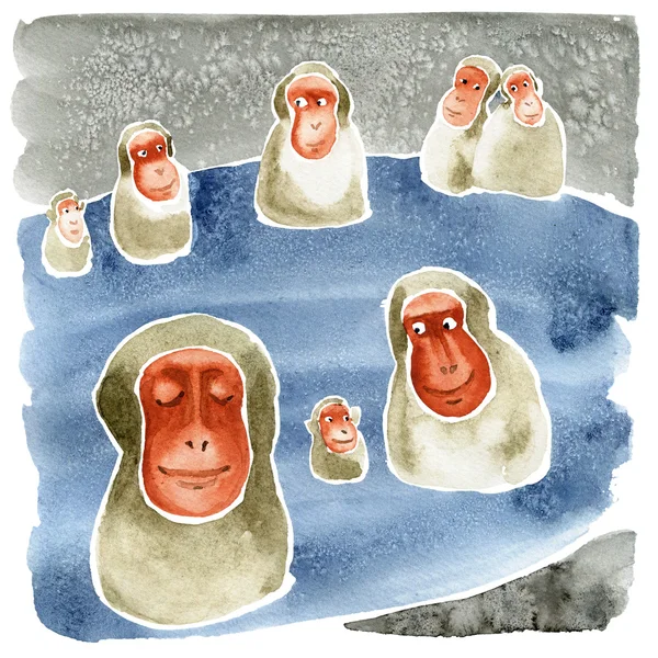 Kaplıca'da kar maymun. Suluboya resim.