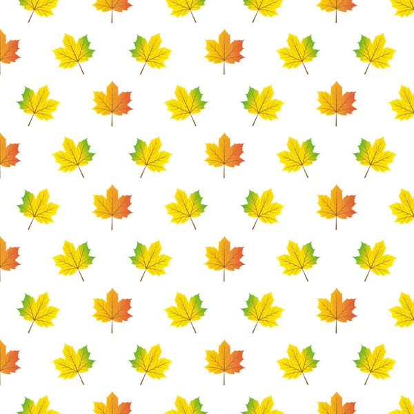 Motif de feuilles d'érable d'automne . — Image vectorielle