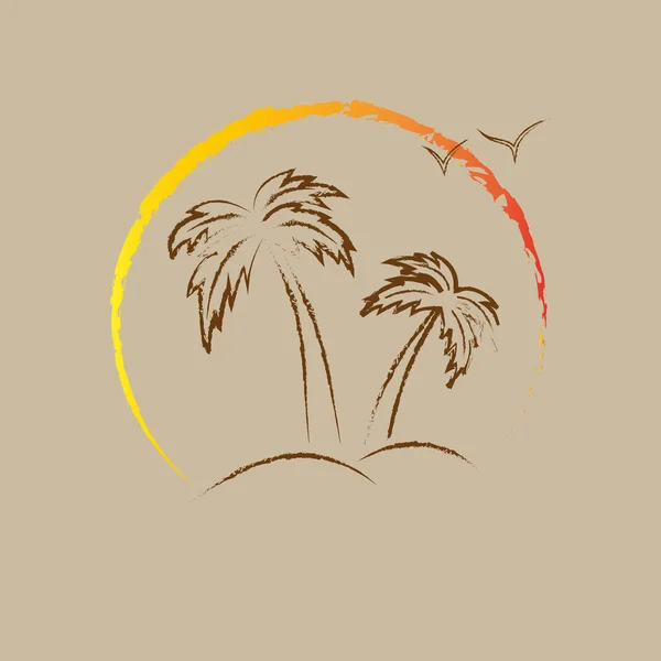 Palm tree kontúrok. — Stock Vector