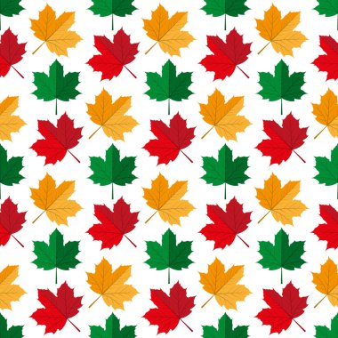 Desen sonbahar akçaağaç yaprakları.