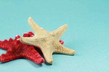 iki denizyıldızı, beyaz ve kırmızı