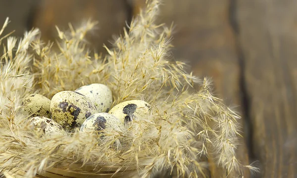 Paskalya. Yuvadaki Paskalya yumurtaları. Ahşap bir arka planda doğal malzemelerden kuşlara yuva.