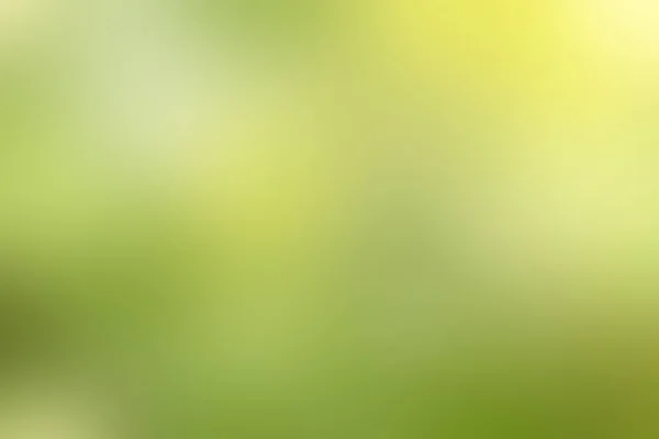 Yeşil soyut arka plan. Yaz ışığı arka planı. Bulanık açık yeşil arkaplan.