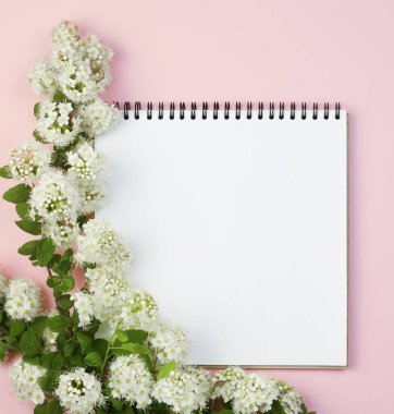 Düz yatıyordu. Yay üzerinde kare not defteri olan düz kompozisyon, pembe arka planda beyaz çiçekler. Çiçekler. Mesafe öğrenme ve ev konseptinde çalışma, serbest çalışma, karantina. Mesafe öğrenme. Kopyalama alanı