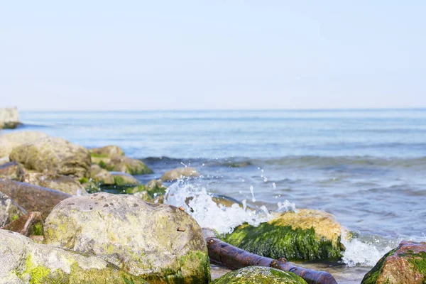 Deniz kenarında büyük kaldırım taşları. Kıyıdaki taşlar, deniz manzarası. Okyanusta büyük taşlar.