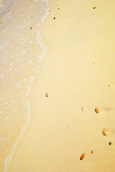 Douce Vague Océan Bleu Sur Une Plage Sable Fin Espace — Photo