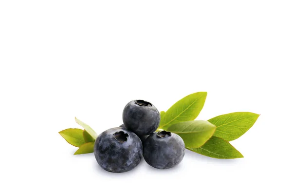 蓝莓在白色的背景上与绿叶隔离 叶子白色 全场深度 隔离的 免版税图库图片