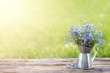 Tahtadaki mavi çiçekler ve yeşil bir arka plan. Yaz kompozisyonu. Eski bir vazoda yaz çiçekleri.