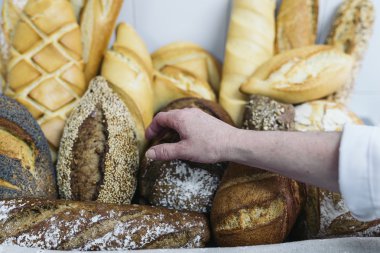 Çok karışık ekmek ve rulolar.