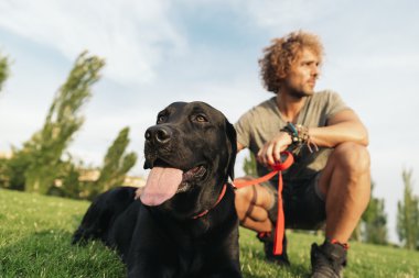 Adam köpeğini ile eğleniyor.