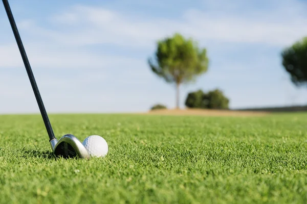 Golfová hůl a míček v trávě. — Stock fotografie