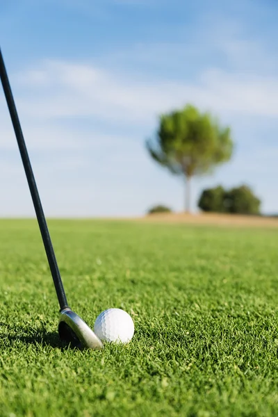 Golf club e palla in erba. — Foto Stock