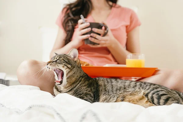 Vrouw werken met haar laptopcomputer en ontbijten. — Stockfoto