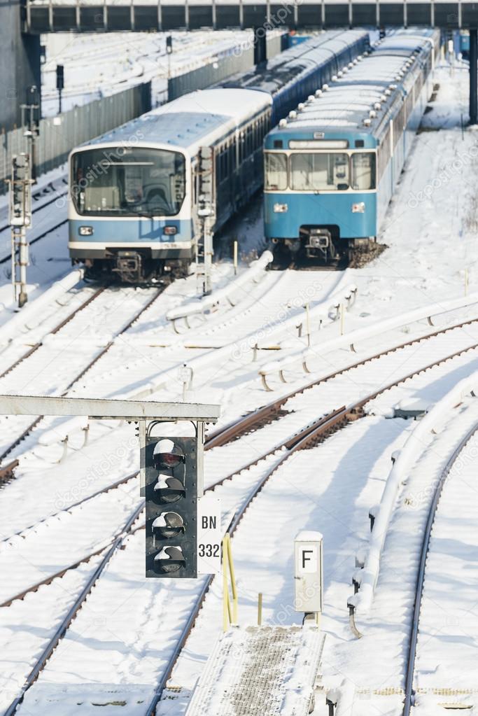 Train in the Winter Landscape of Munich.
