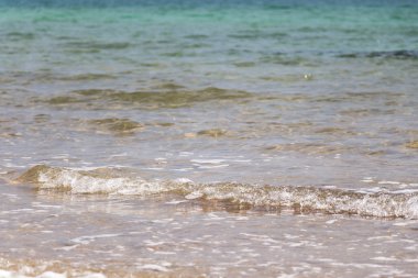 Makro ölü deniz dalga İsrail