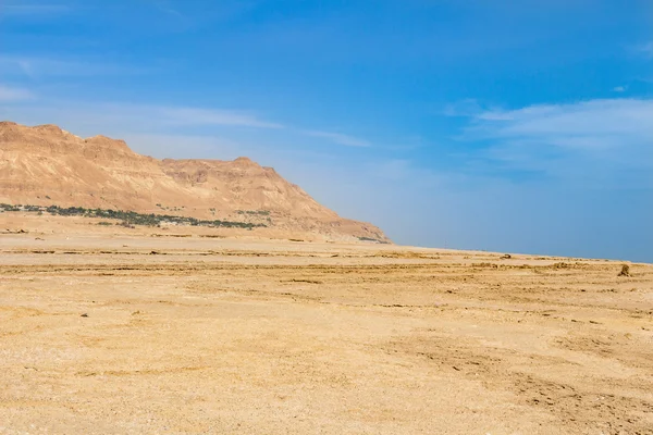 Dead sea salt shore