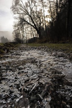 Kasvetli bir orman yolunda donmuş su birikintisi. Ojcow, Polonya.