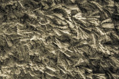 Sepya renginde uzun saç halısının dokusu, tasarımcılar ve arka planlar için kürk dokusu yakın plan.