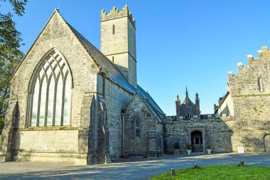 Adare 'deki Augustinian Friary, County Limerick, İrlanda