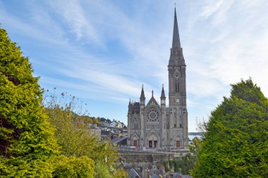 Cobh 'daki Saint Colman Katedrali, İrlanda Limanı.