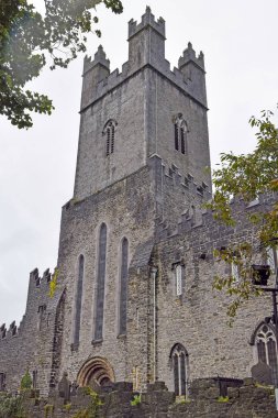 Limerick, İrlanda 'daki St. Mary Katedrali' nin ön cephesinin ayrıntıları