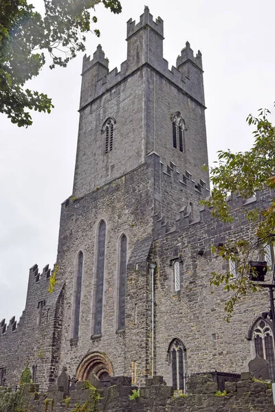 爱尔兰利默里克Sta Mary大教堂立面的细节 — 图库照片