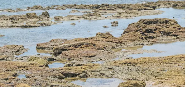 Natuurlijke Achtergrond Van Zeewater Rotsen Voor Behang Grafische Vormgeving — Stockfoto