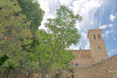 Arka planda Kolej Kilisesi Hanımı Osuna, Seville, Endülüs, İspanya