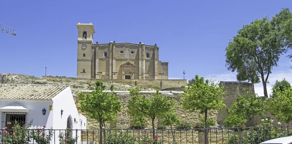 Parque Com Árvores Com Igreja Colegiada Nossa Senhora Assunção Cima — Fotografia de Stock