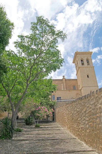 Escaliers Menant Collégiale Notre Dame Assomption Arrière Plan Osuna Séville — Photo