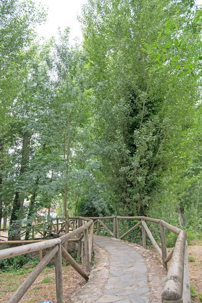 Pasarela Madera San Nicolás Del Puerto Sevilla Andalucía España —  Fotos de Stock