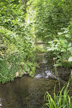 San Nicolas del Puerto 'daki Hueznar nehrinin kaynağı, Kuzey Seville Dağı, Endülüs, İspanya