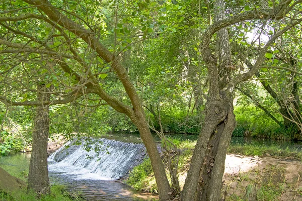 Träd Och Ett Litet Vattenfall Vid Floden Hueznar Bakom San — Stockfoto