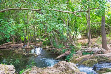 Hueznar river in San Nicolas del Puerto, North Seville Mountain, Andalusia, Spain