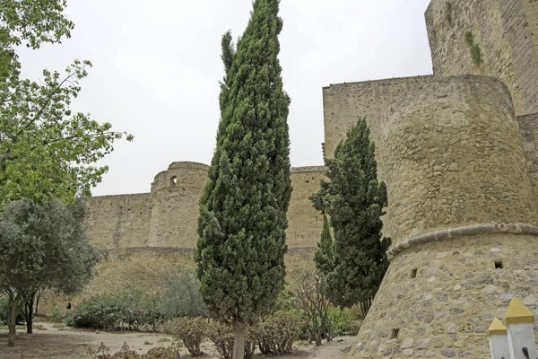 Δέντρα Μπροστά Από Τους Πύργους Του Castillo Santiago Στο Sanlucar — Φωτογραφία Αρχείου