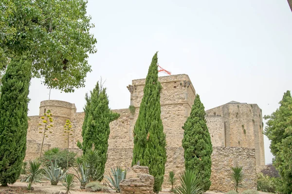 Vista Panoramica Del Castello Santiago Sanlucar Barrameda Con Albero Fronte — Foto Stock