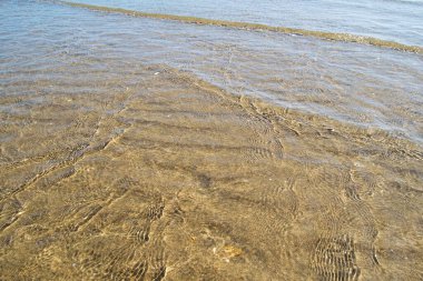 Sahilde deniz kabukları ve arka planda kum ile şeffaf su yumuşak dalgalar oluşturur. Arkaplan ve element tasarımı