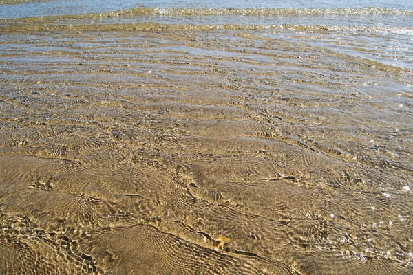 Agua Transparente Orilla Una Playa Con Conchas Marinas Diseño Fondo — Foto de Stock