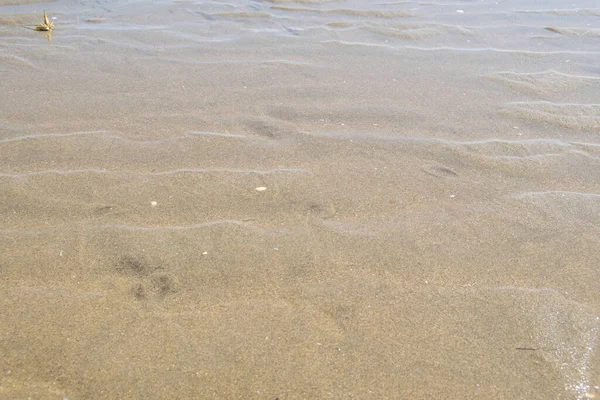 Landa Strand Där Kan Stor Sträcka Sand Och Snäckor Från — Stockfoto