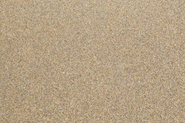 Sand Strand Fein Golden Und Nass Ideal Für Tapeten Und — Stockfoto