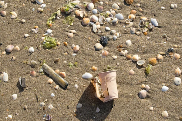 Plastic Cup Cigarette Butt Other Rubbish Shore Beach Polluting Environment — Foto de Stock