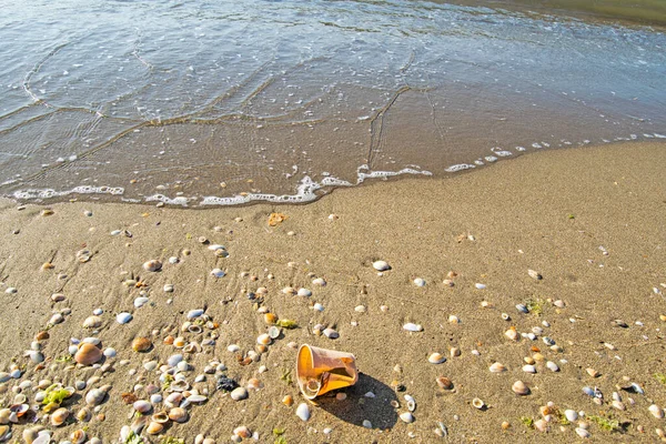Afval Aan Kust Van Een Strand Dat Het Milieu Vervuilt — Stockfoto