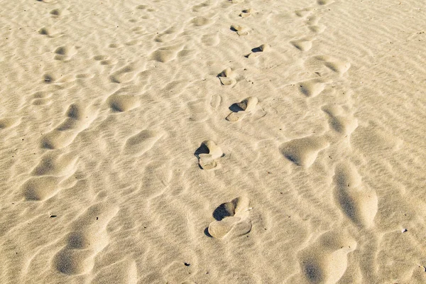 海滩湿沙中的脚印 — 图库照片