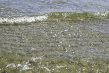 Denizin dalgaları sahile ulaştığı zaman. Arkaplan ve element tasarımı