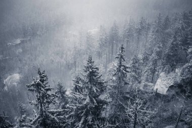 Dağın tepesinden kış manzarası