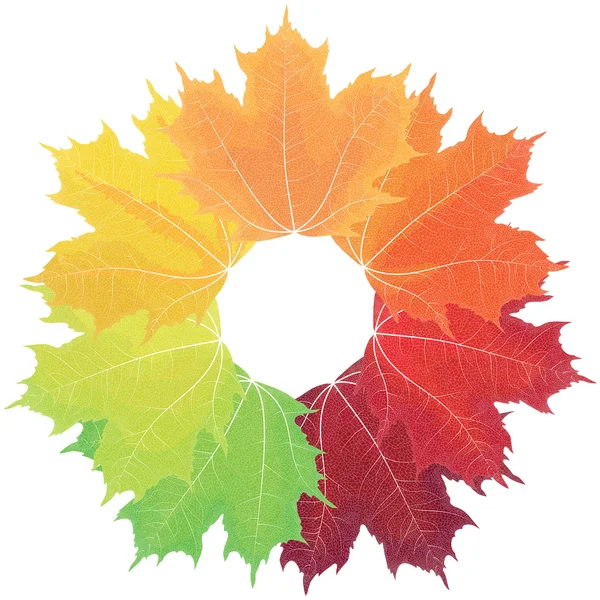 Sonbahar renkleri akçaağaç yaprakları.