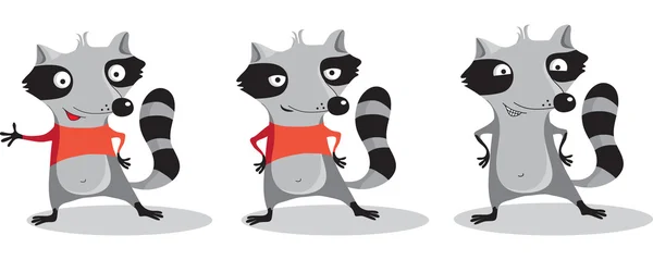 Raccoon cartoon set. — Stock Vector